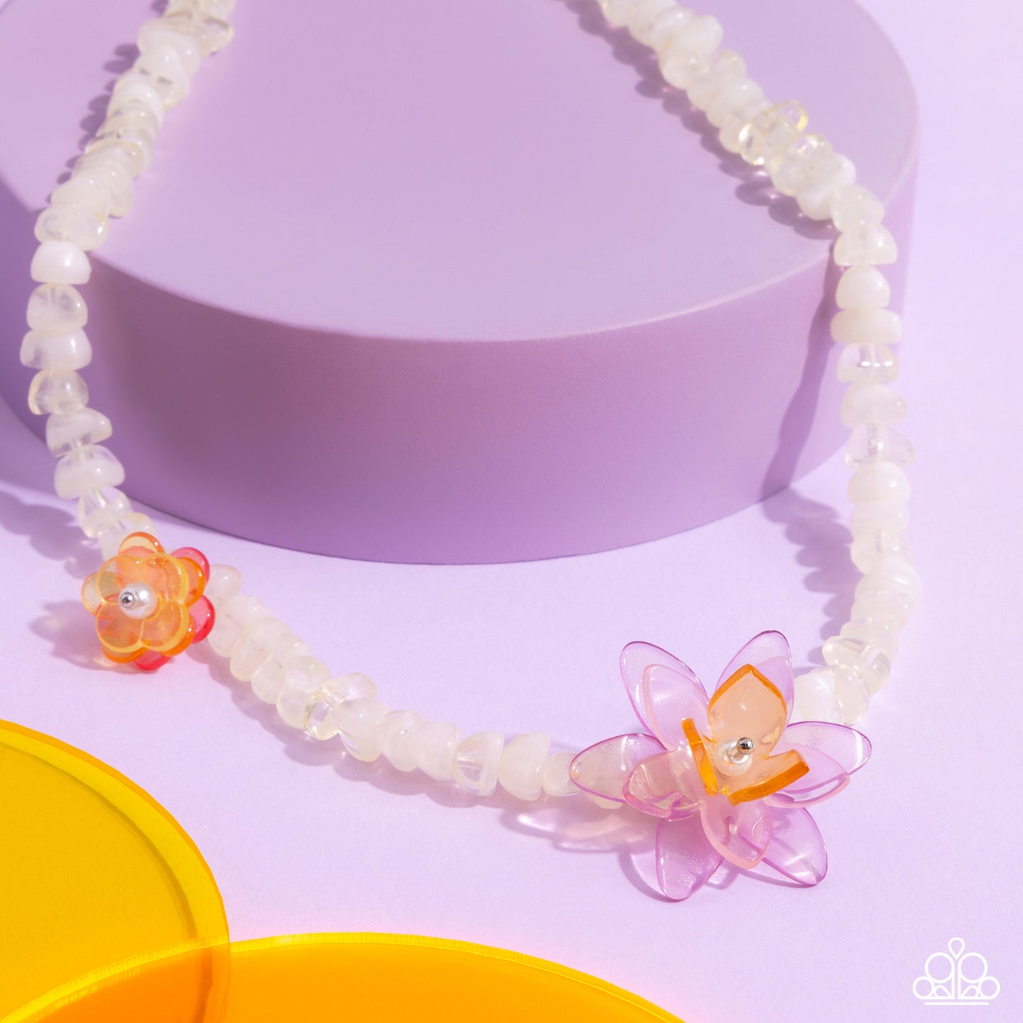 Malibu Master - Multi PRESALE
