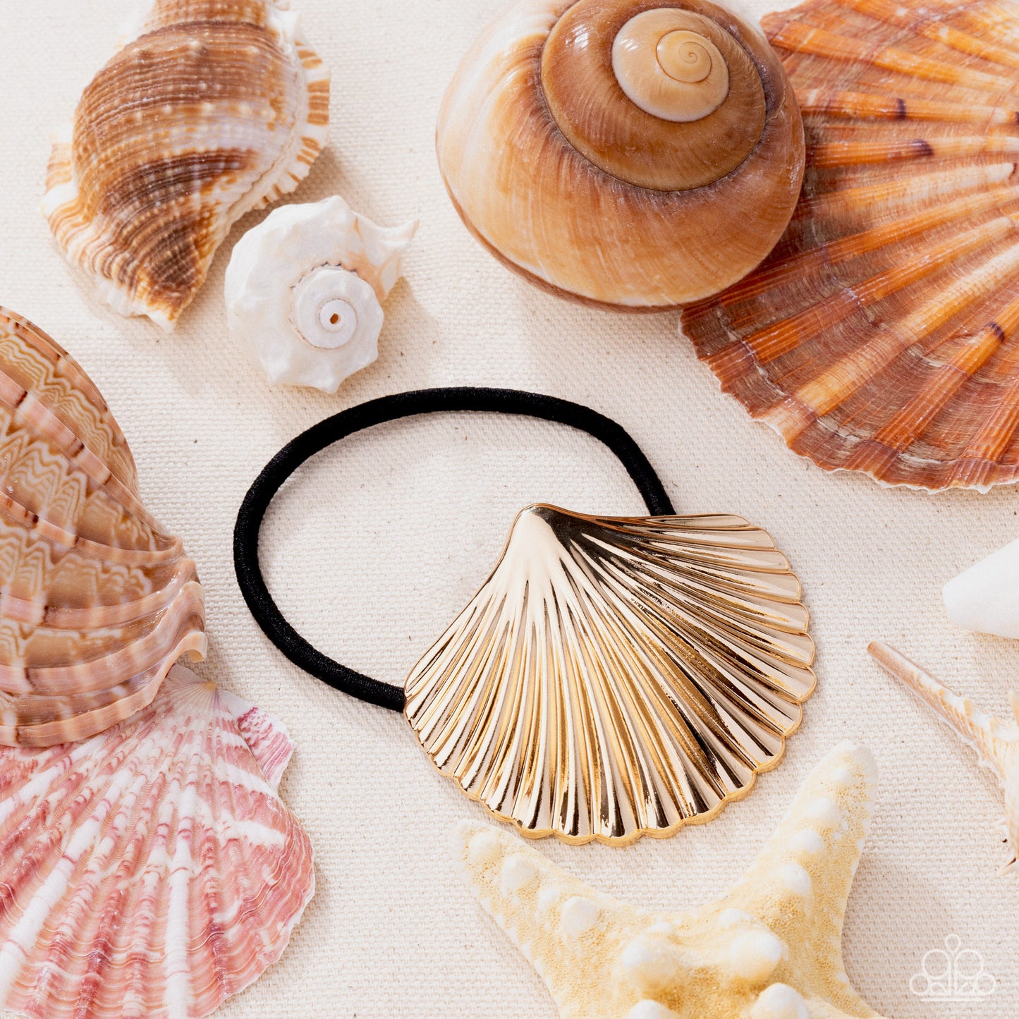 Short Seashell - Gold PRESALE