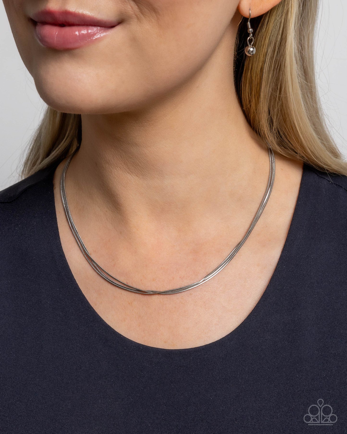 Classy Companion - Silver PRESALE