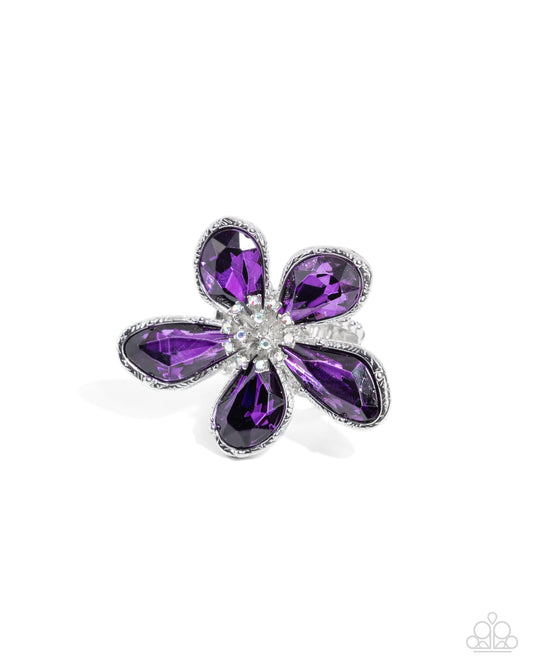 Daily Drama - Purple PRESALE