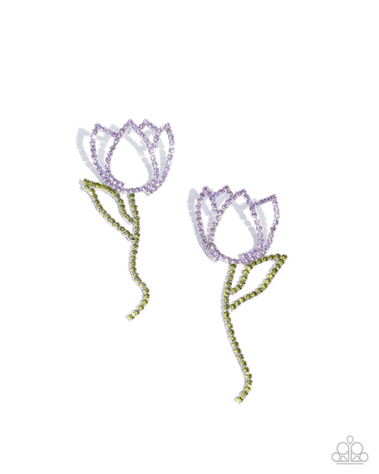 Tulip Transcendence - Purple PRESALE